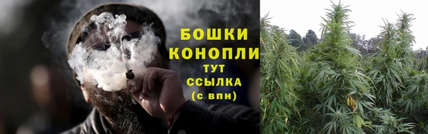 прущие грибы Остров
