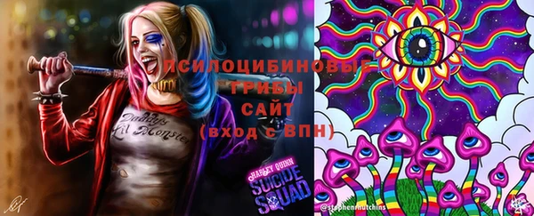 прущие грибы Остров
