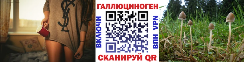 маркетплейс состав  магазин  наркотиков  Аргун  Галлюциногенные грибы мухоморы 