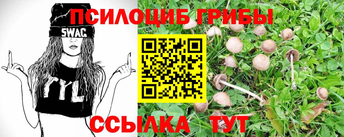 Галлюциногенные грибы GOLDEN TEACHER  Вход с VPN  магазин продажи   Псилоцибиновые грибы ЛСД  Аргун 