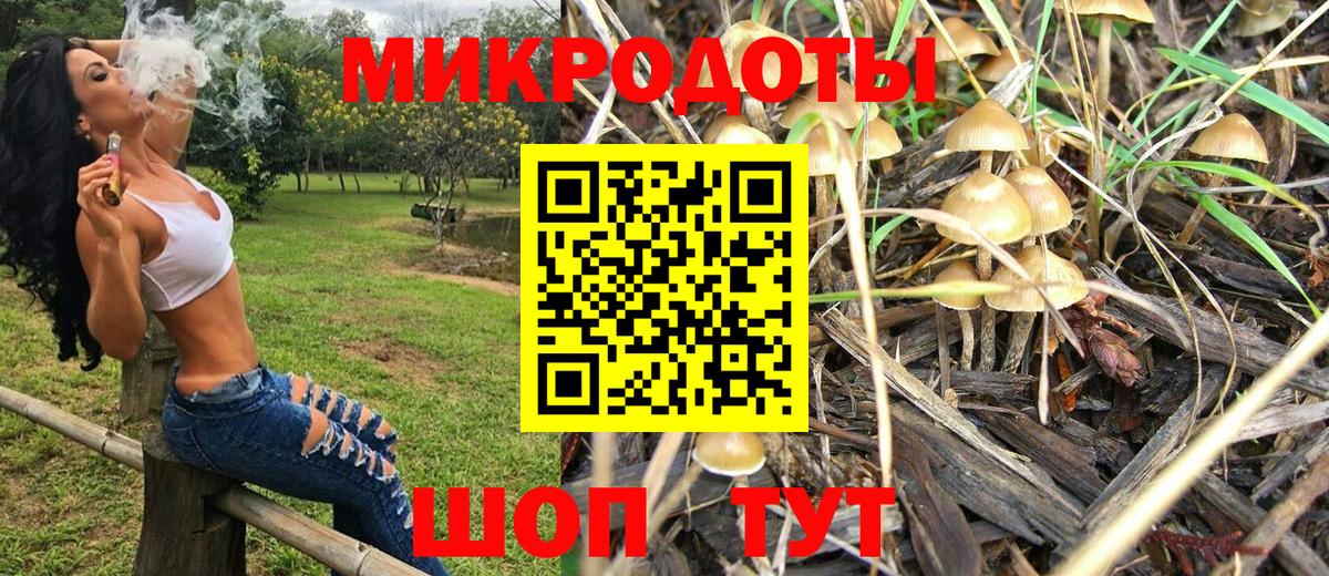 Псилоцибиновые грибы Psilocybine cubensis Аргун