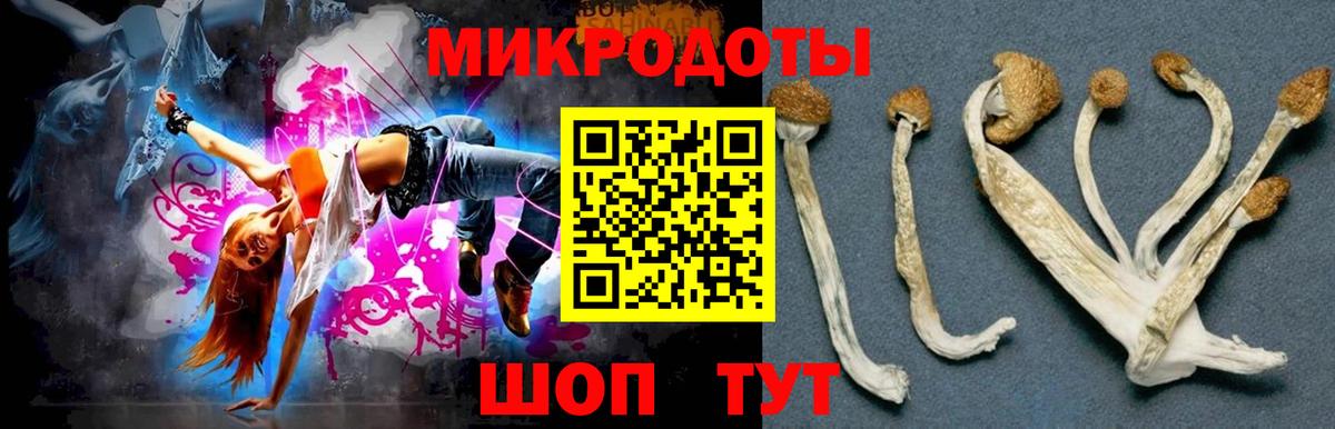Псилоцибиновые грибы Psilocybe Аргун