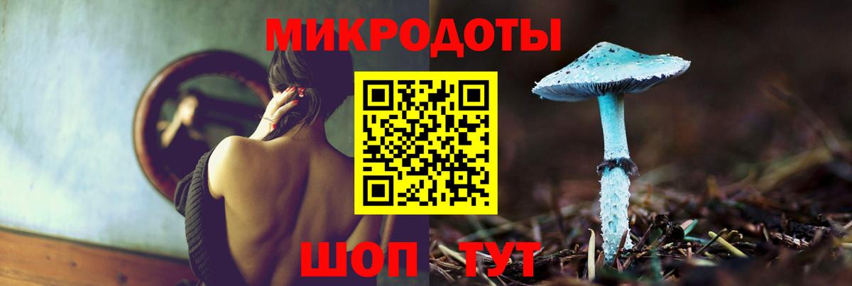 Галлюциногенные грибы Psilocybine cubensis  Псилоцибиновые грибы Cubensis  Аргун 